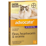 ADVOCATE SINGLE CAT OVER 4KG